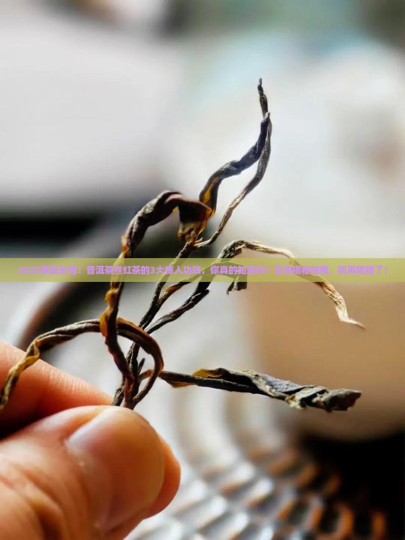普洱茶煮红茶的功效