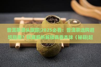 普洱茶源头跟踪