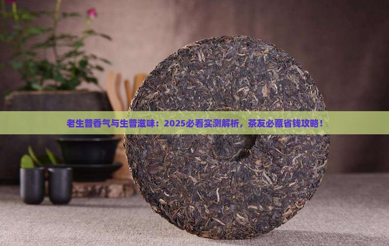 老生普的香气生普的口感滋味