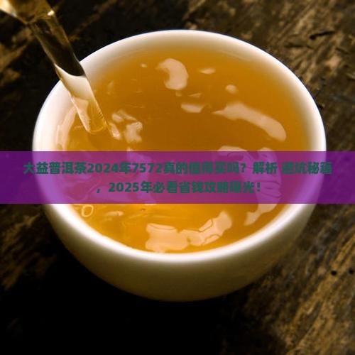 大益普洱茶2024年7572