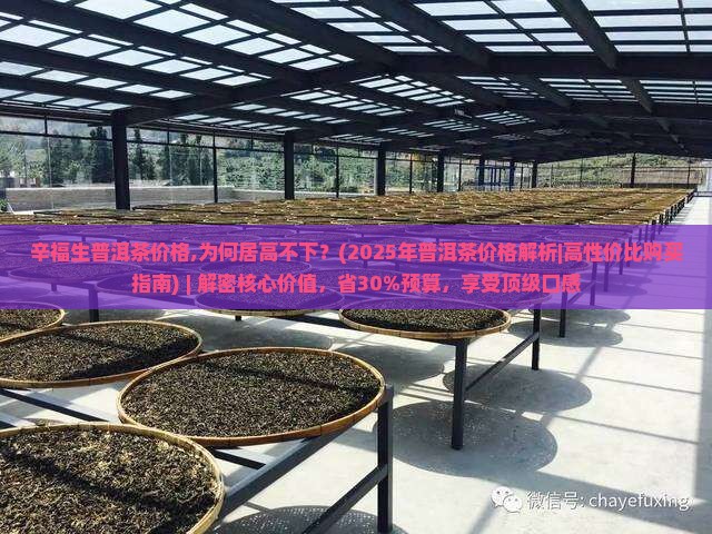 辛福生普洱茶价格 辛福生普洱茶价格