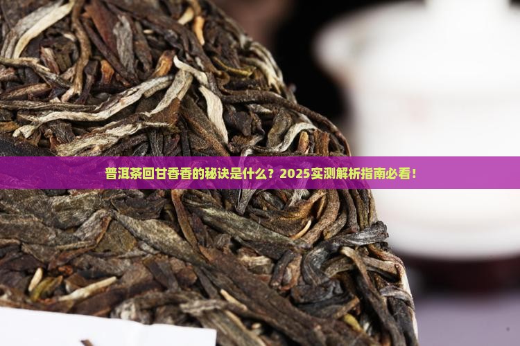 普洱茶怎样才叫回甘香香