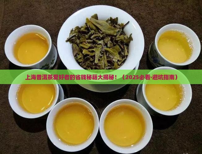 上海实惠的普洱茶品牌店