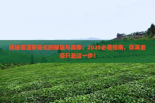 普洱茶陈化的由来和历史