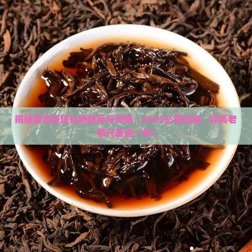 普洱茶陈化的由来和历史