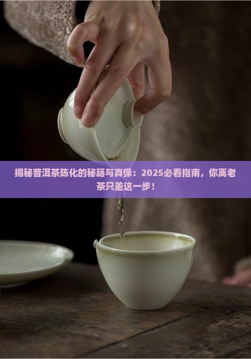 普洱茶陈化的由来和历史