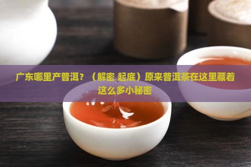 广东哪里产普洱