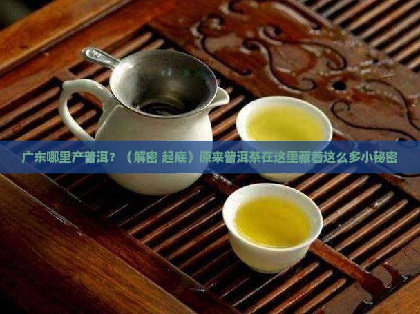 广东哪里产普洱