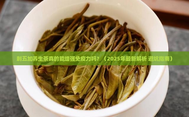 刺五加养生茶的功效与作用