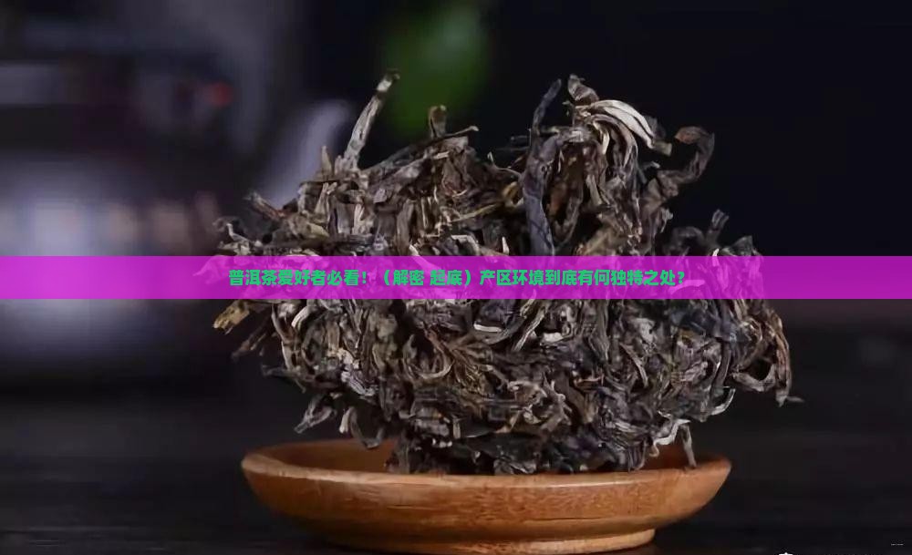 普洱茶的产区环境特点