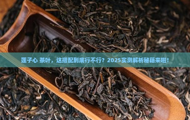 莲子心和茶叶能一起泡水喝吗