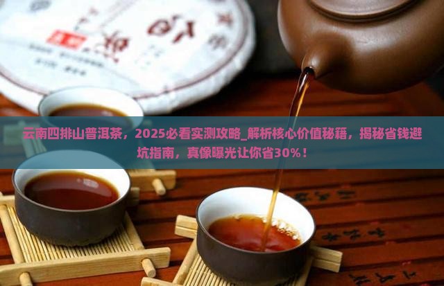 云南四排山普洱茶