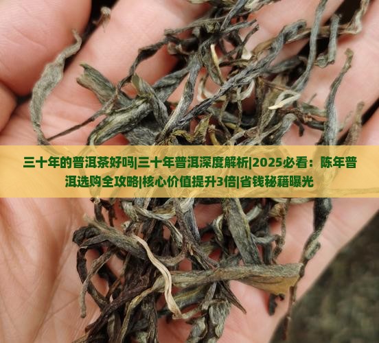 三十年的普洱茶好吗