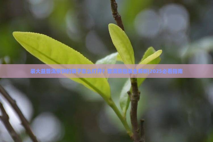 装大益普洱茶饼的袋子