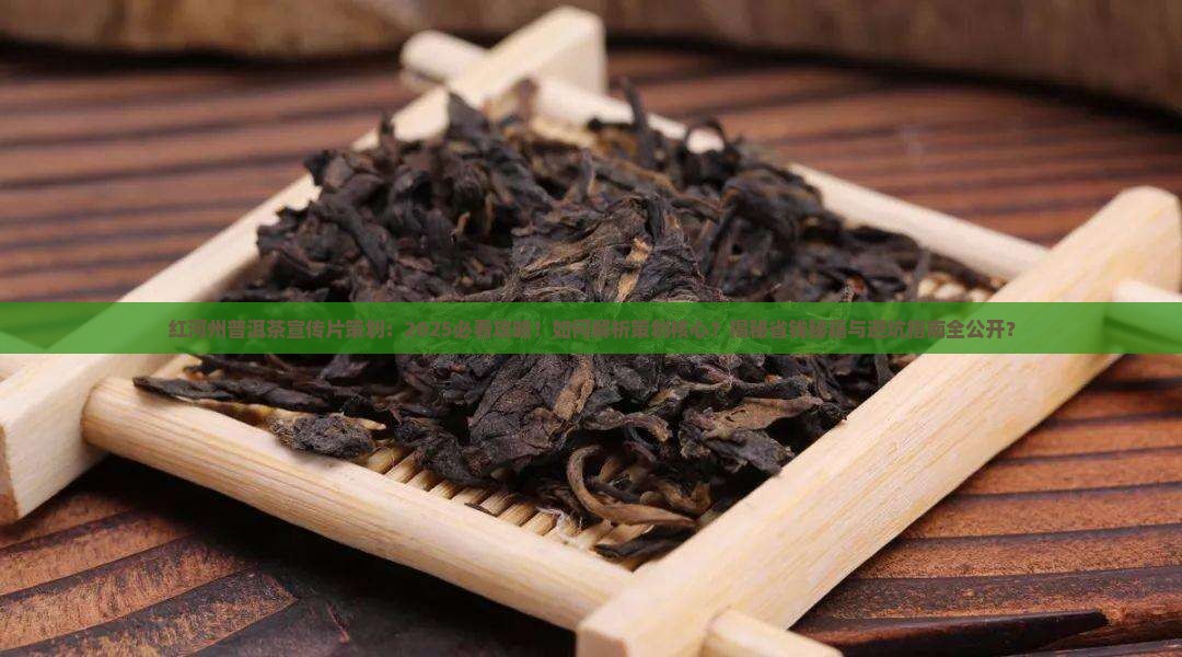 红河州普洱茶宣传片策划