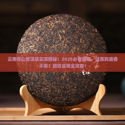 云南保山普洱茶怎么样