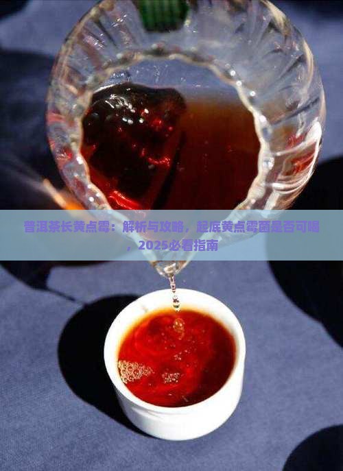 普洱茶长黄点霉