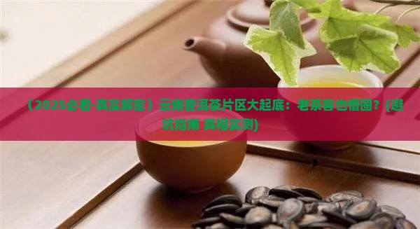 云南普洱茶片区
