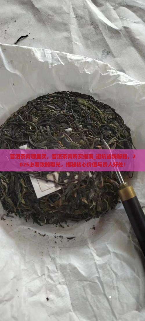 普洱茶膏哪里买