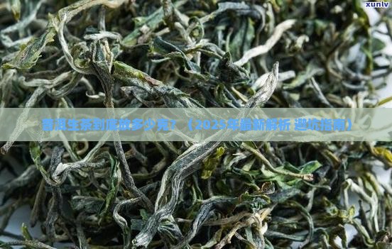 普洱生茶放多少克