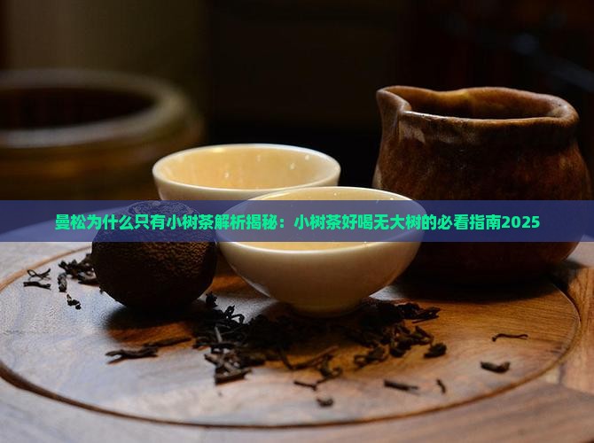 曼松为什么只有小树茶