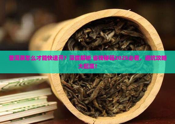 普洱茶怎么才能快速开