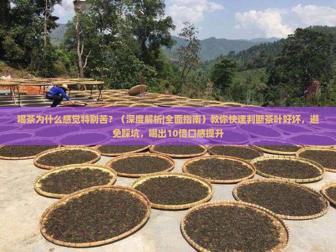 喝茶为什么感觉特别苦 喝茶为什么感觉特别苦
