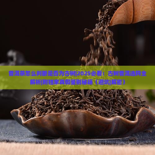 普洱茶怎么判断是否为古树