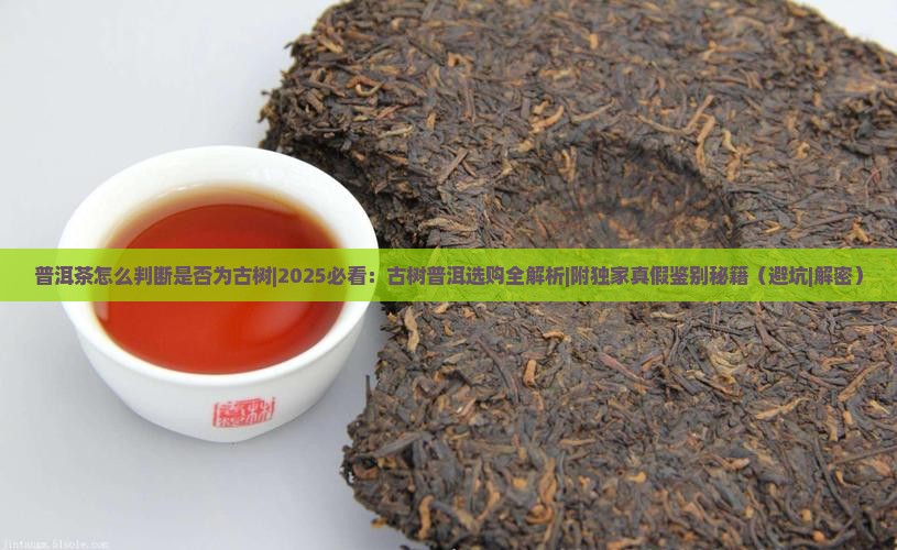 普洱茶怎么判断是否为古树