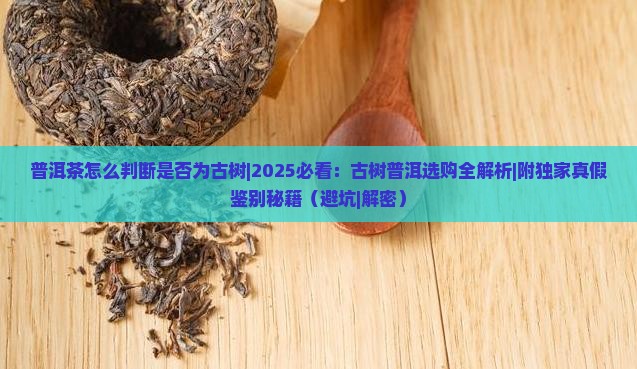 普洱茶怎么判断是否为古树