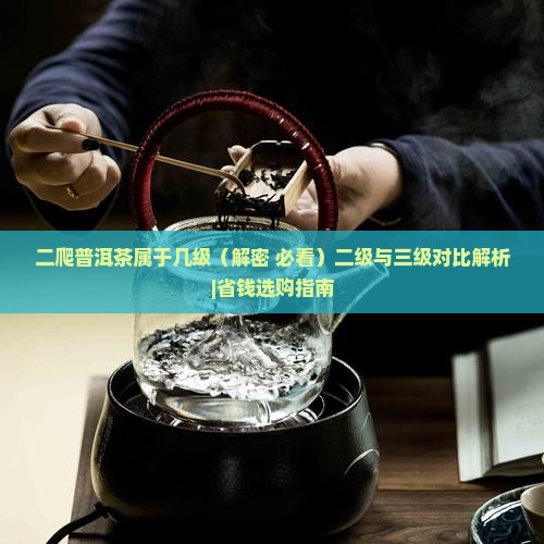 二爬普洱茶属于几级