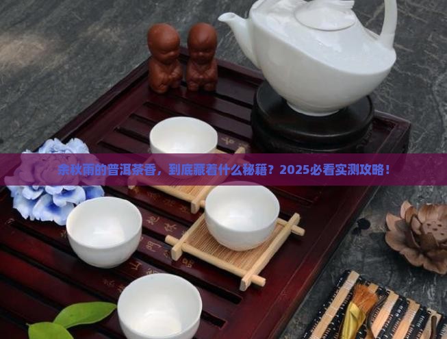 余秋雨普洱茶之香