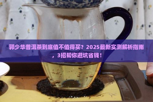 郭少华普洱茶好不好