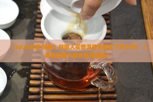 韩国人买普洱茶多少钱