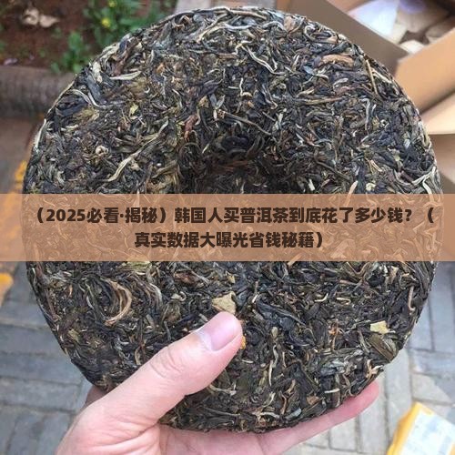 韩国人买普洱茶多少钱