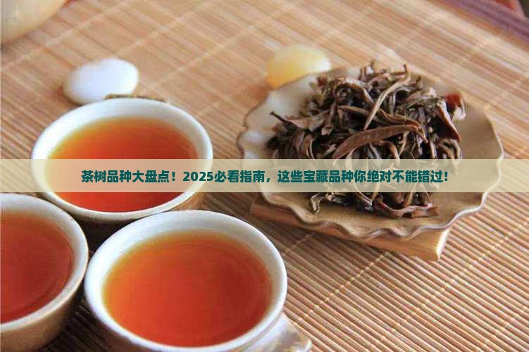 茶树有哪些品种