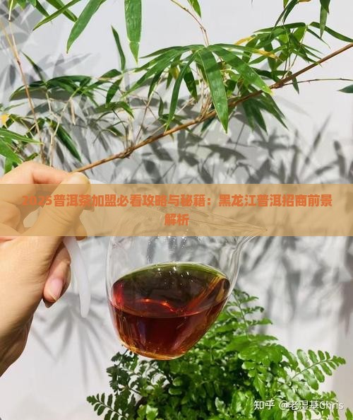 黑龙江普洱茶招商加盟前景