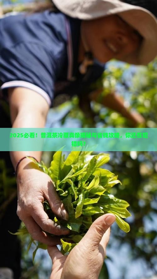 普洱茶还需要放冰箱冷藏吗