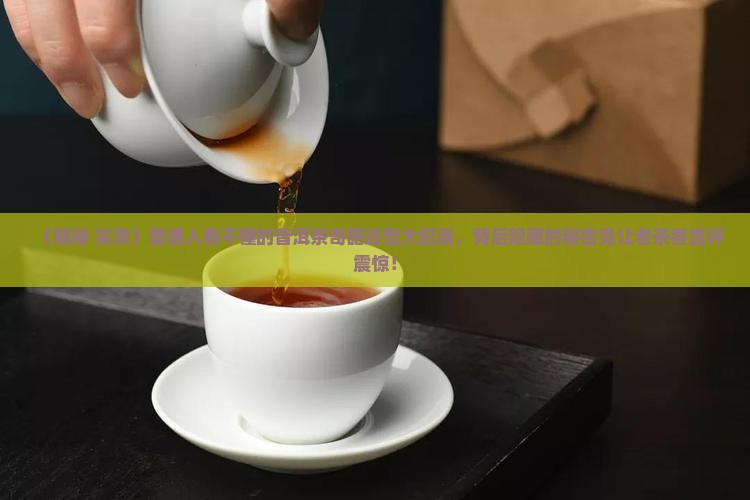 普洱茶奇葩造型