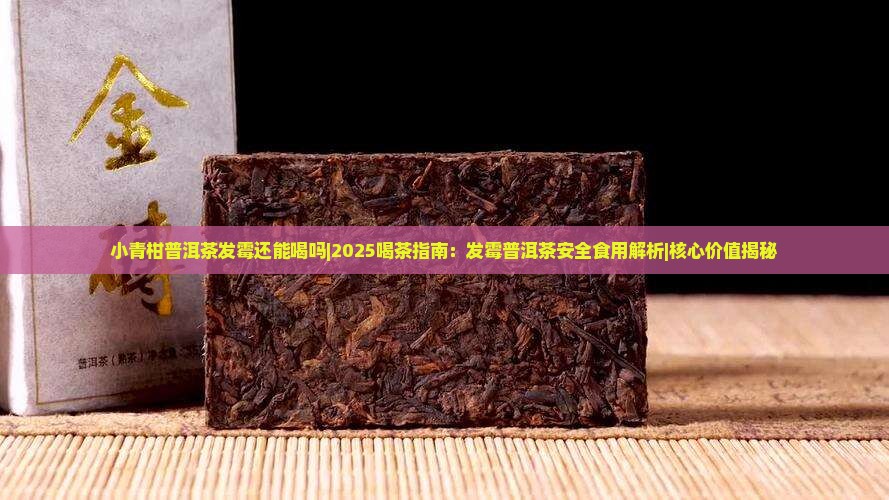 小青柑普洱茶发霉还能喝吗