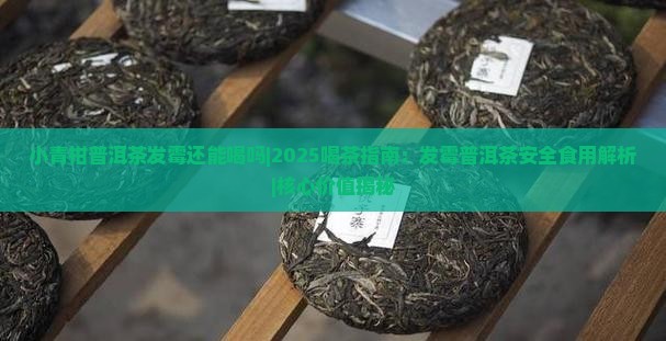 小青柑普洱茶发霉还能喝吗