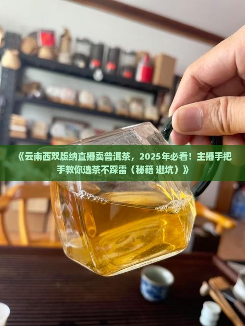 云南西双版纳直播卖普洱茶