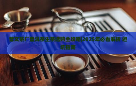 普文茶厂普洱茶生茶