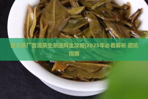 普文茶厂普洱茶生茶