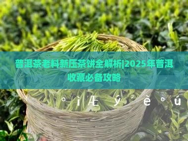 普洱茶老料新压的茶饼