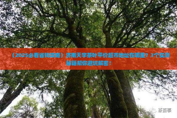 济南天宇茶叶平价超市地址