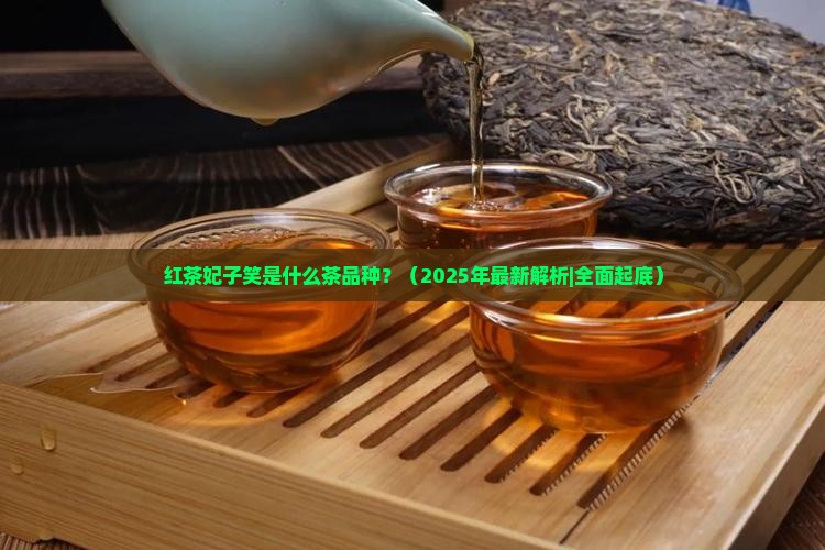 红茶妃子笑是什么茶品种