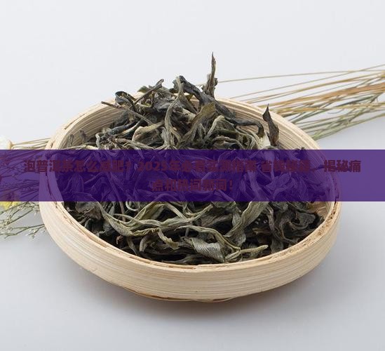 泡普洱茶怎么减肥推荐博主