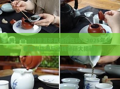 梅州靠谱的普洱茶
