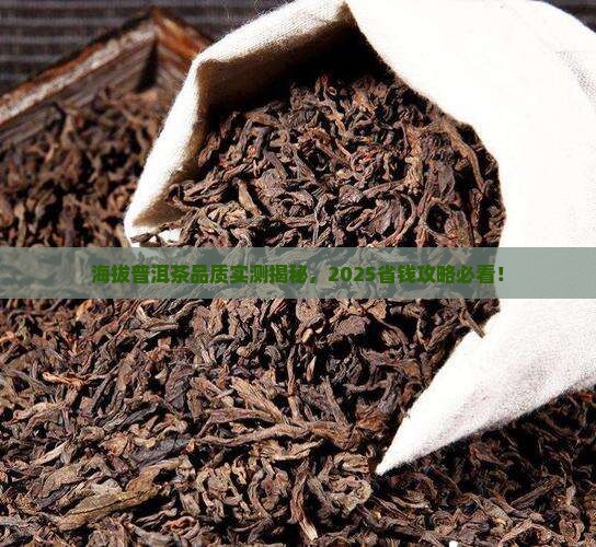 海拔普洱茶品质